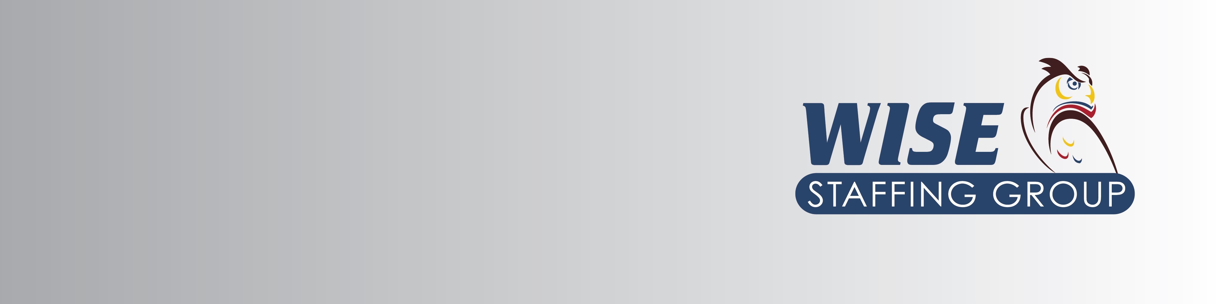 Wise Staffing Group cover image