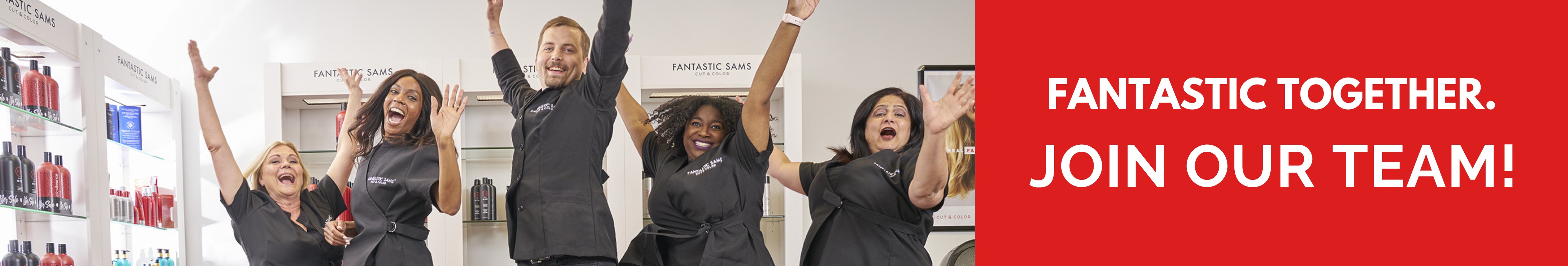 Fantastic Sams Franchise Corp cover image