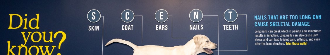 Scenthound cover image