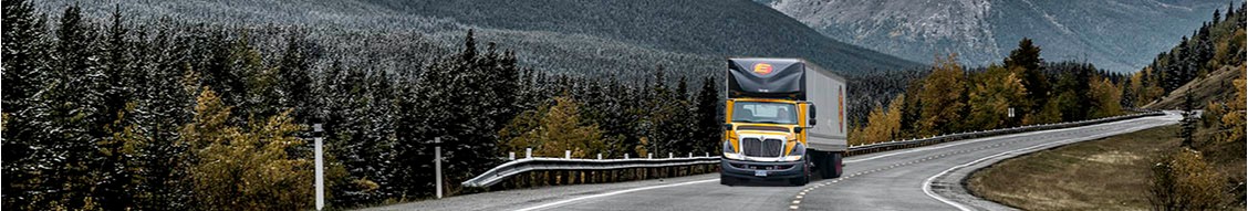 Estes Express Lines cover image