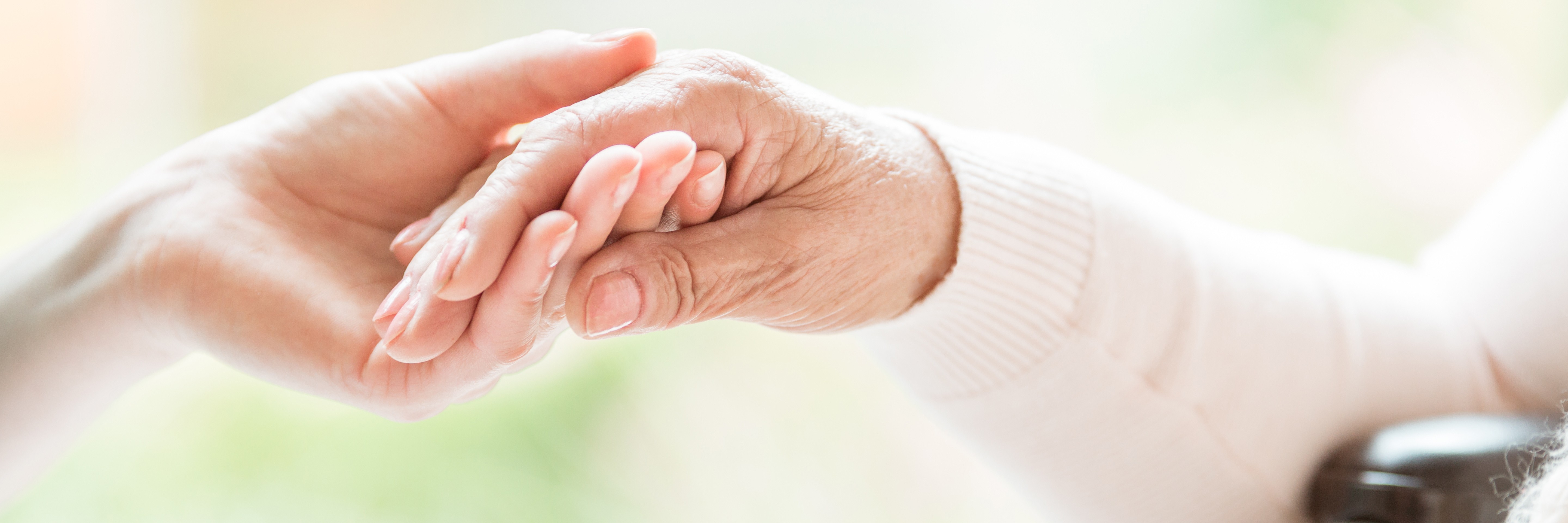Premier Home Health Care Services, Inc cover image