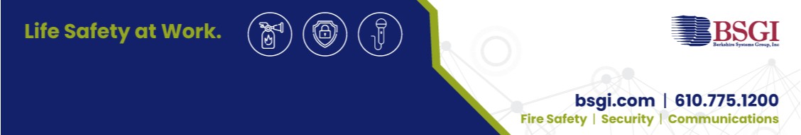 Berkshire Systems Group Inc (BSGI) cover image