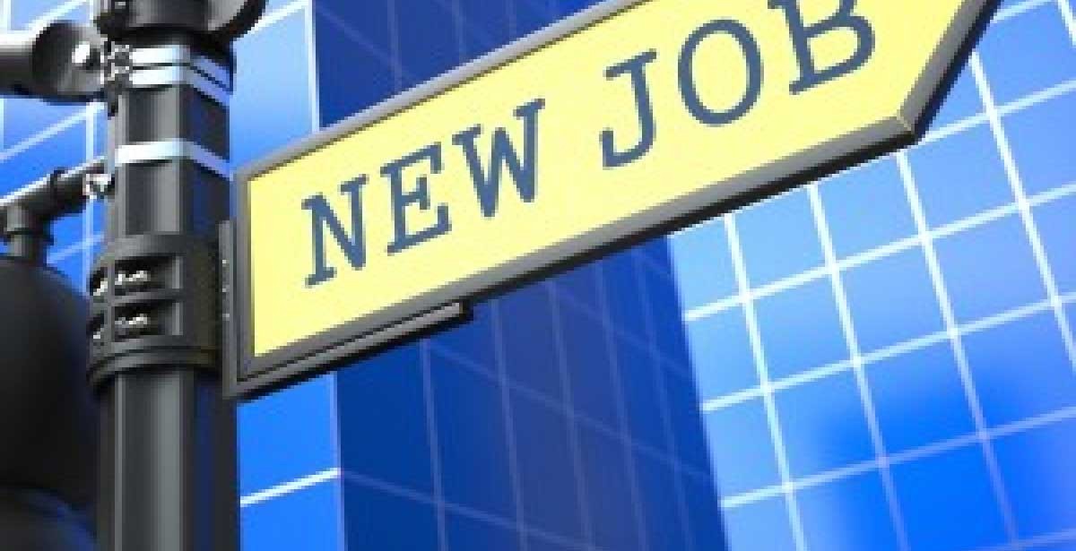 Porter & Chester Career Services cover image
