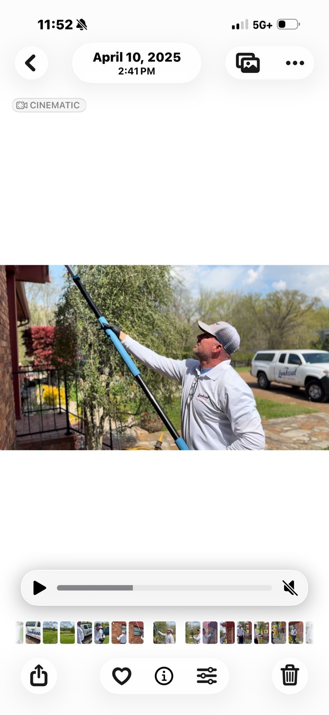 Lookout Pest Control, Inc. cover image