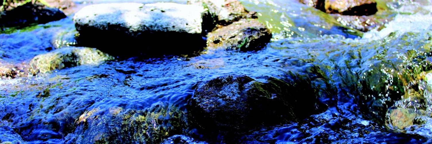 City of San Bernardino Municipal Water Department cover image