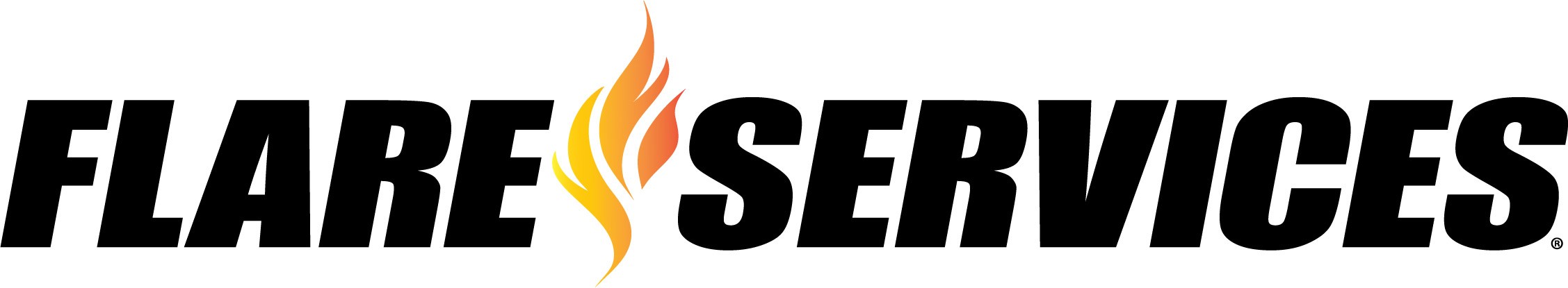Flare Services, LLC. cover image