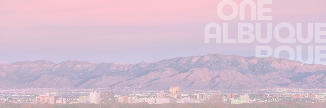 City of Albuquerque cover image