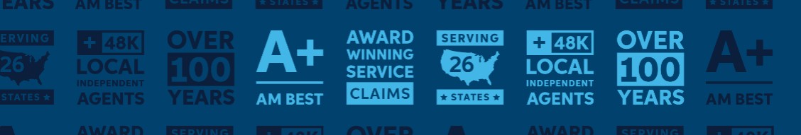 Auto-Owners Insurance cover image