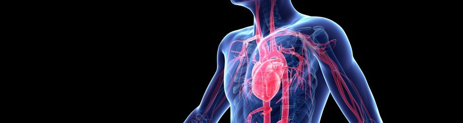 Cardiac & Thoracic Surgery Associates cover image