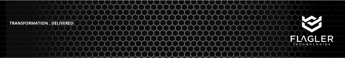 Flagler Technologies cover image