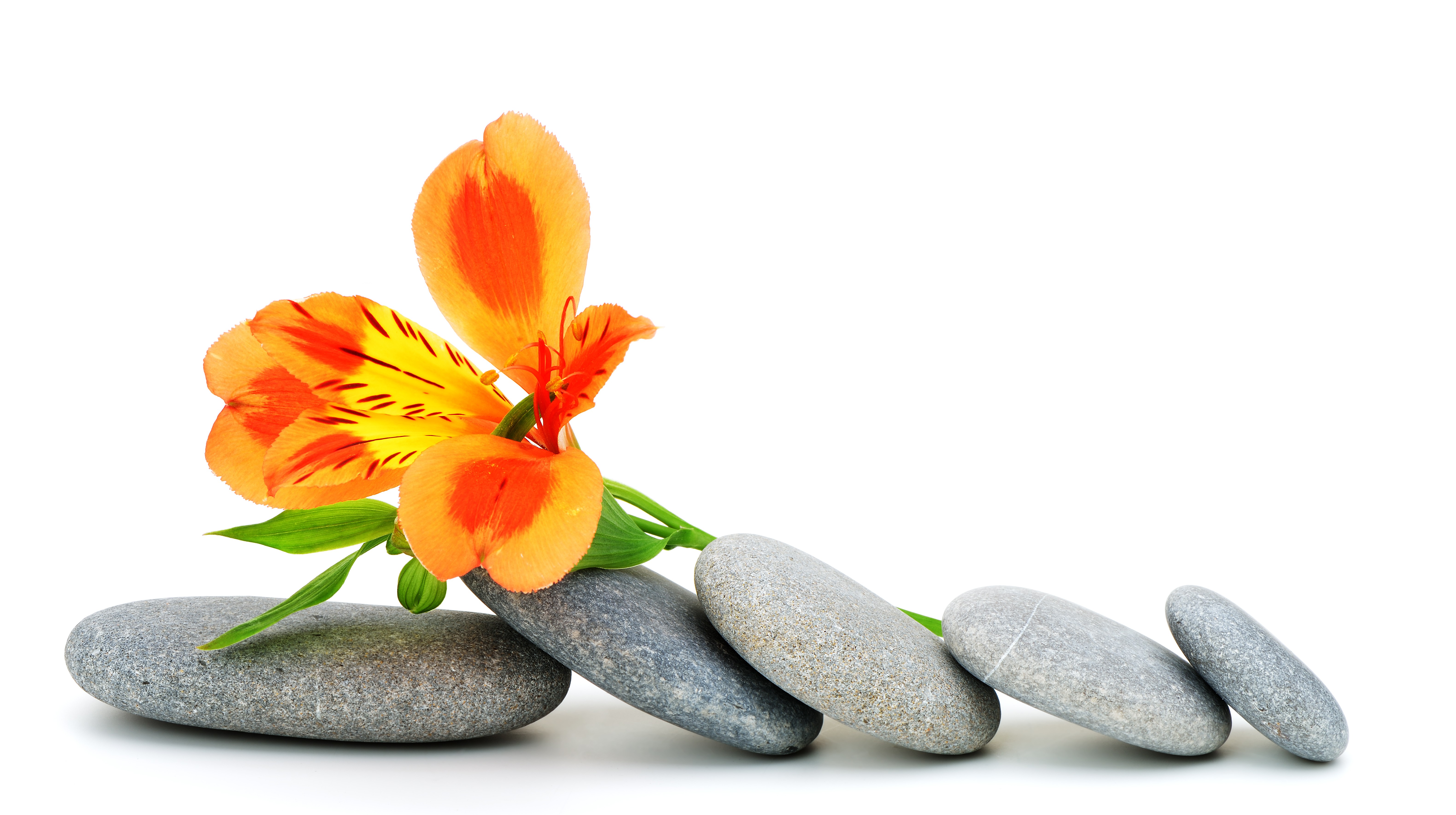 Crestwood Behavioral Health, Inc. cover image