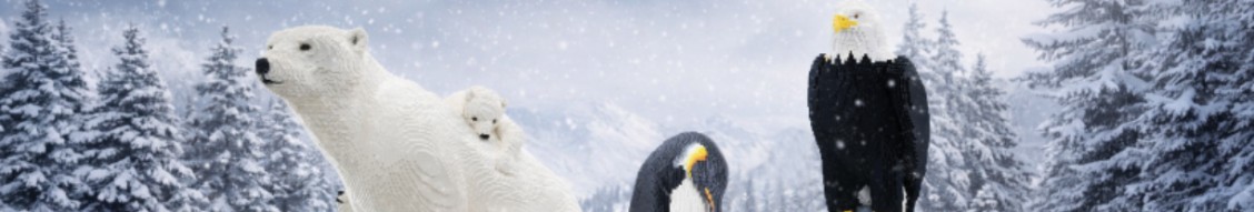 Denver Museum of Nature & Science cover image