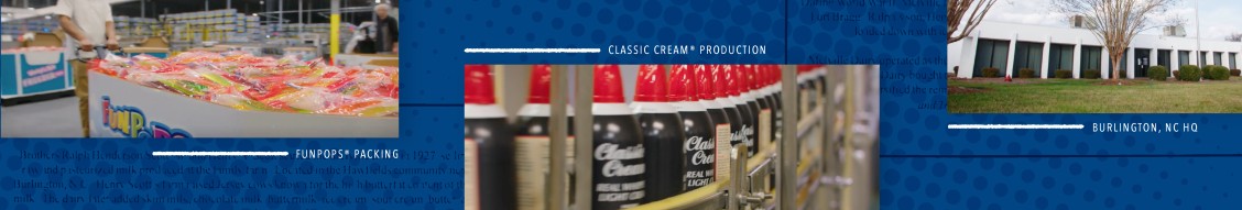 Alamance Foods Inc cover image