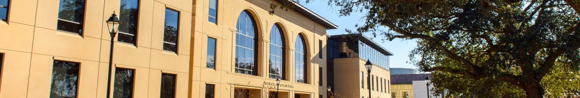 LSU College of Engineering cover image
