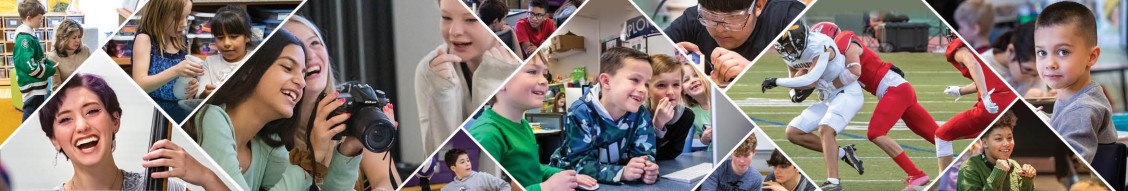 Littleton Public Schools cover image