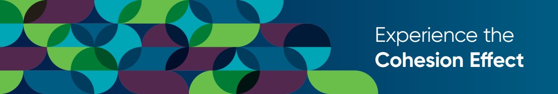 Rho cover image