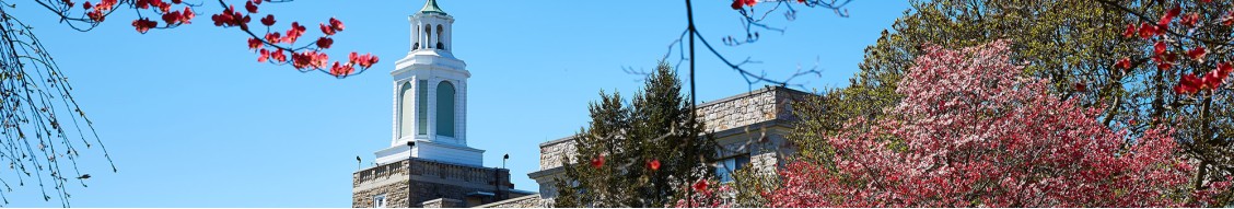 Phoebe Ministries cover image