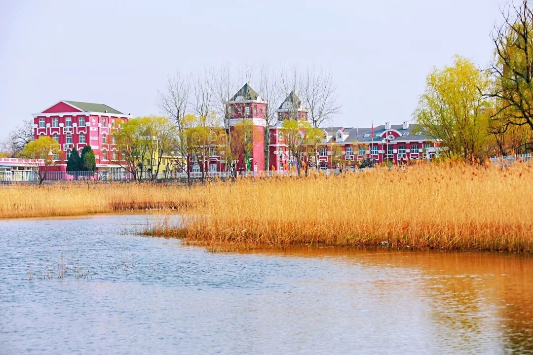 AidiSchool（北京爱迪学校） cover image