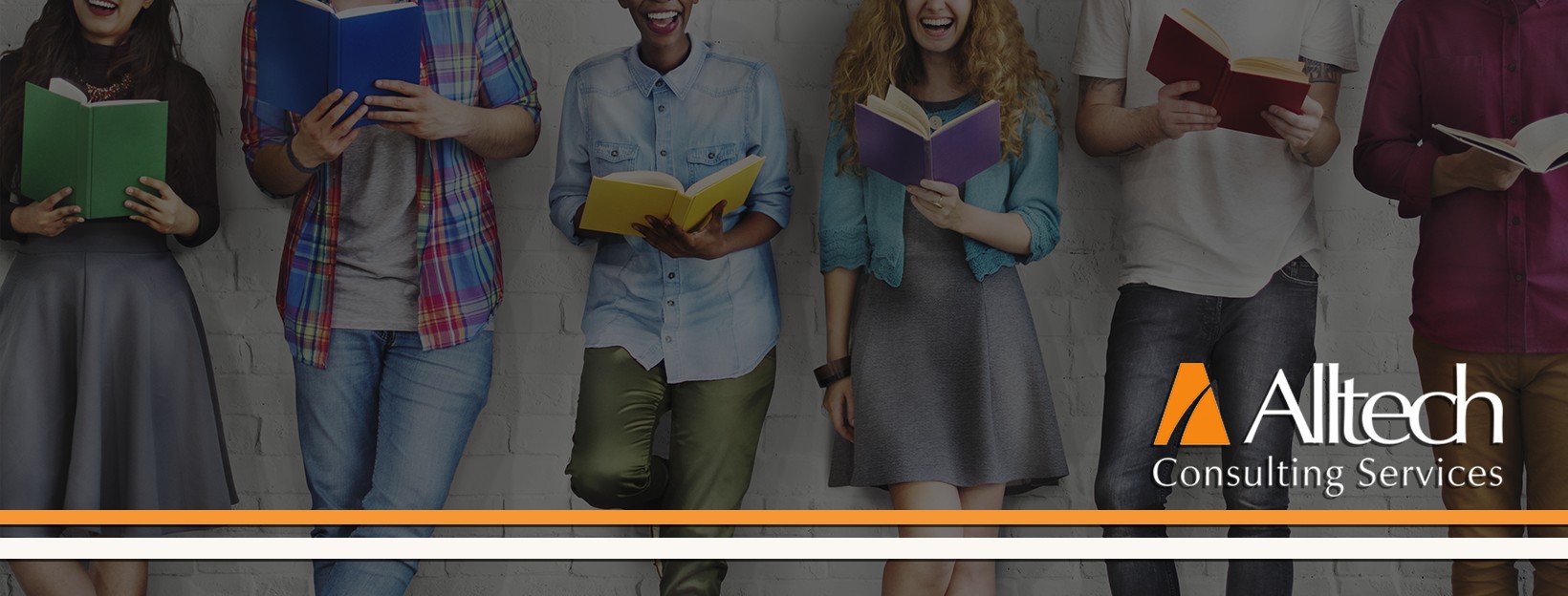 Alltech Consulting Services, Inc cover image