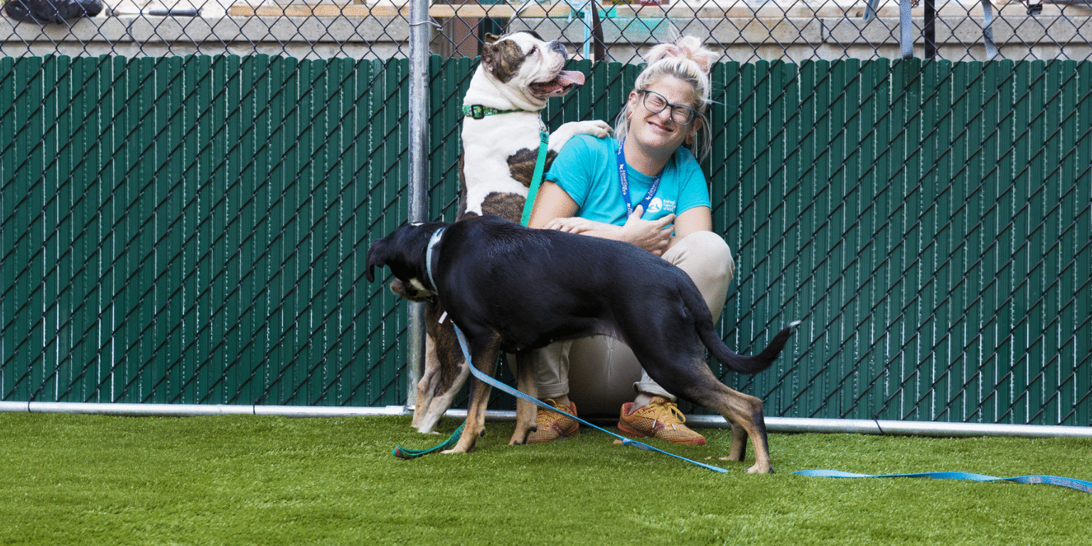 Animal Care Centers of NYC cover image