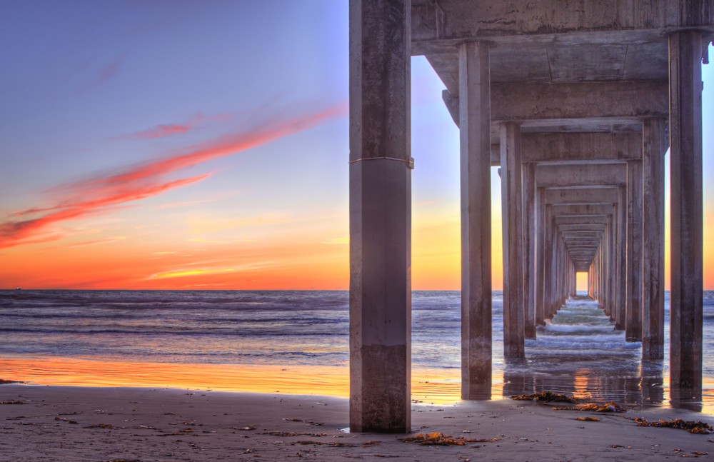 Seaport Scripps Home Health cover image