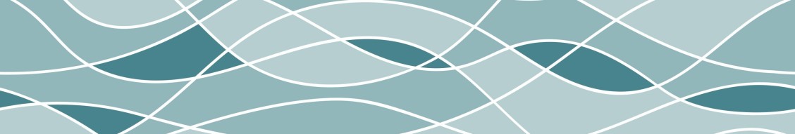City of Gainesville, Georgia cover image