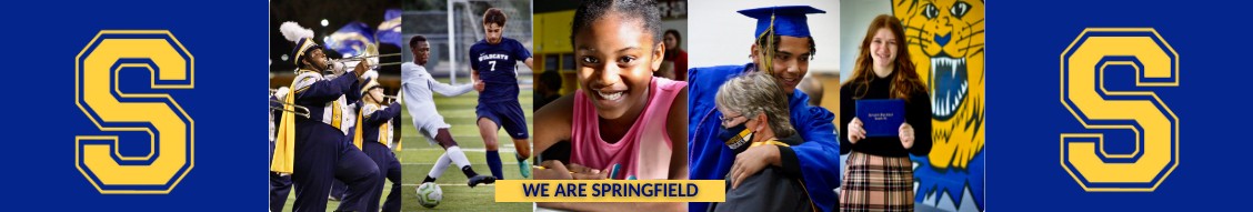 Springfield City School District cover image