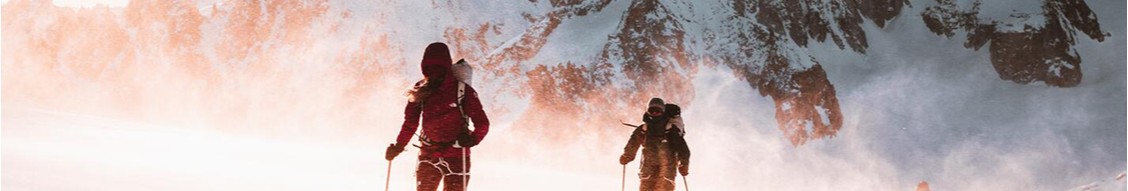 The North Face cover image