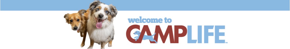 Camp Bow Wow cover image