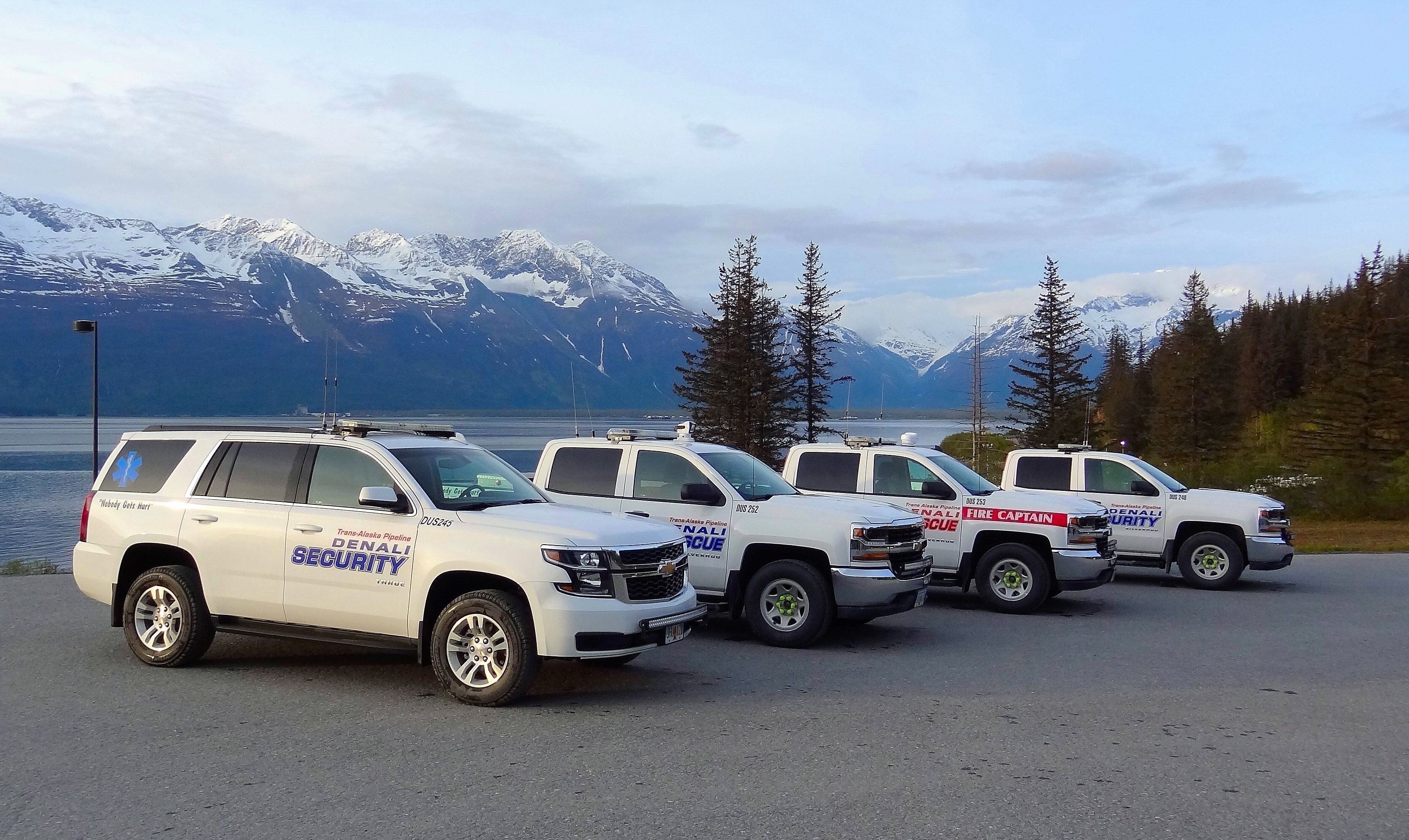 Denali Universal Services cover image