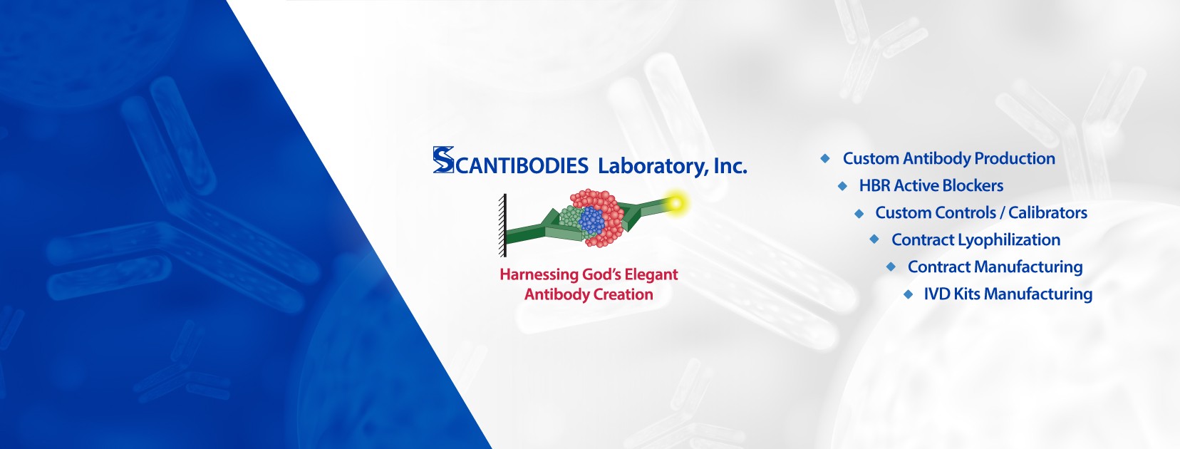 Scantibodies Laboratory, Inc cover image