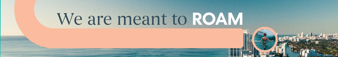 Roami cover image