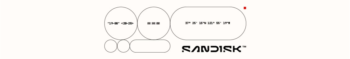 Sandisk cover image
