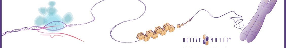 Active Motif cover image
