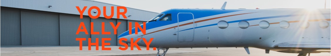 Fly Alliance cover image