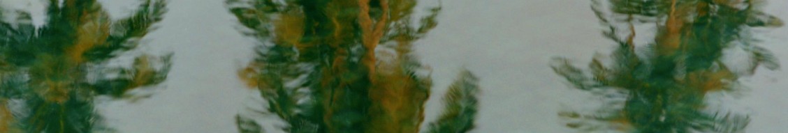 Aman cover image