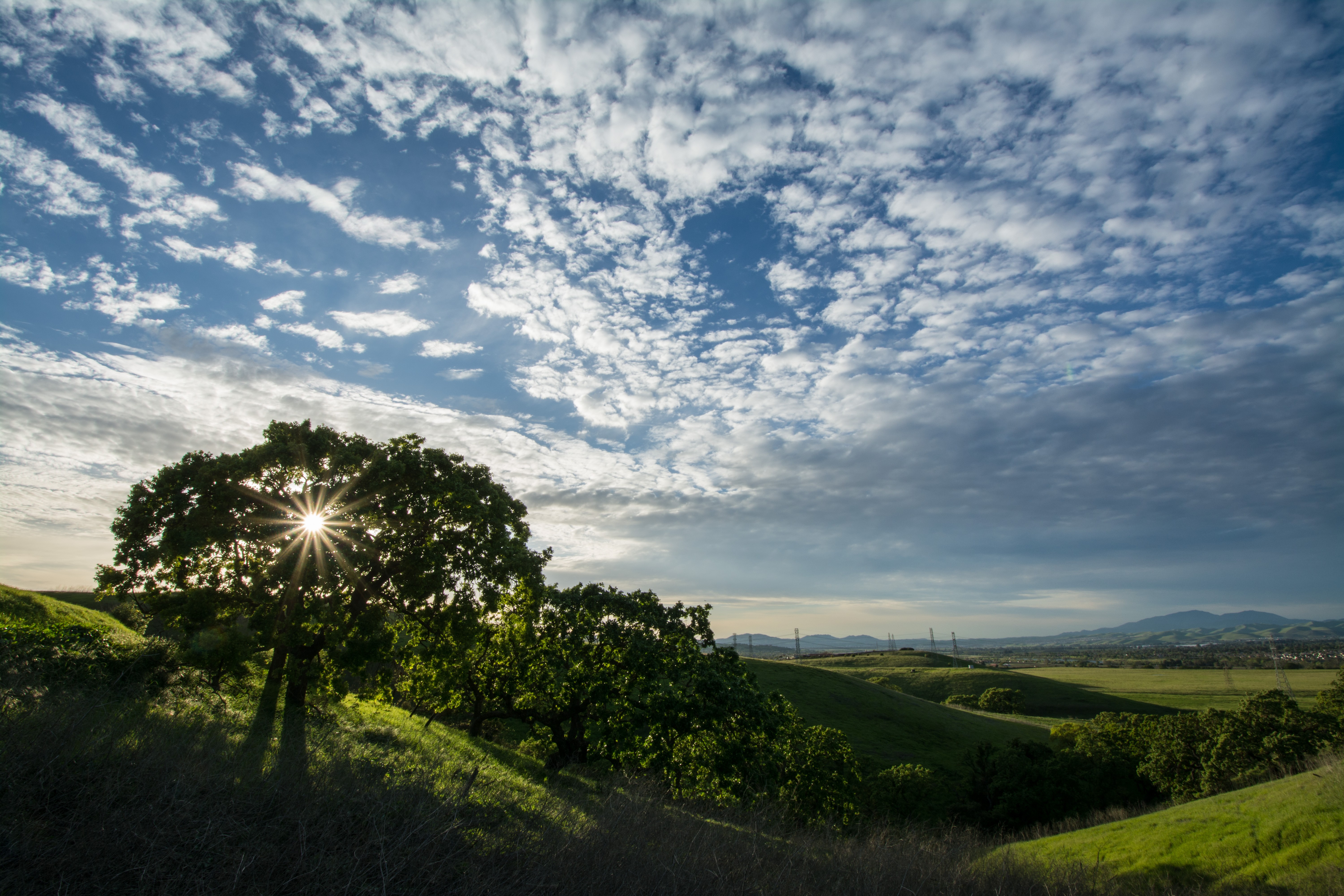 Livermore Area Recreation and Park District cover image