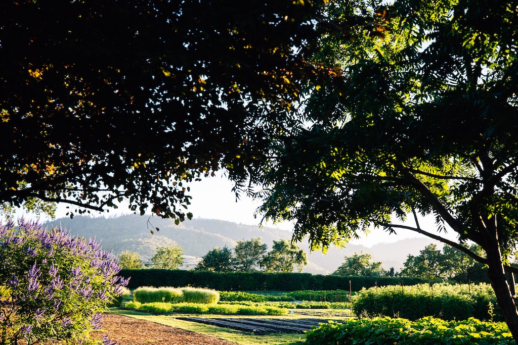 Estate Yountville cover image