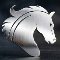 Silhouette Security Group logo