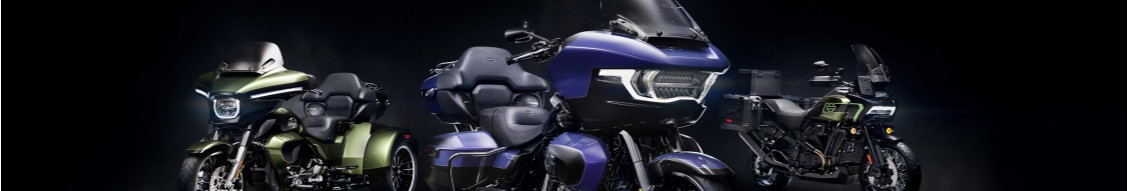 Harley-Davidson Motor Company cover image