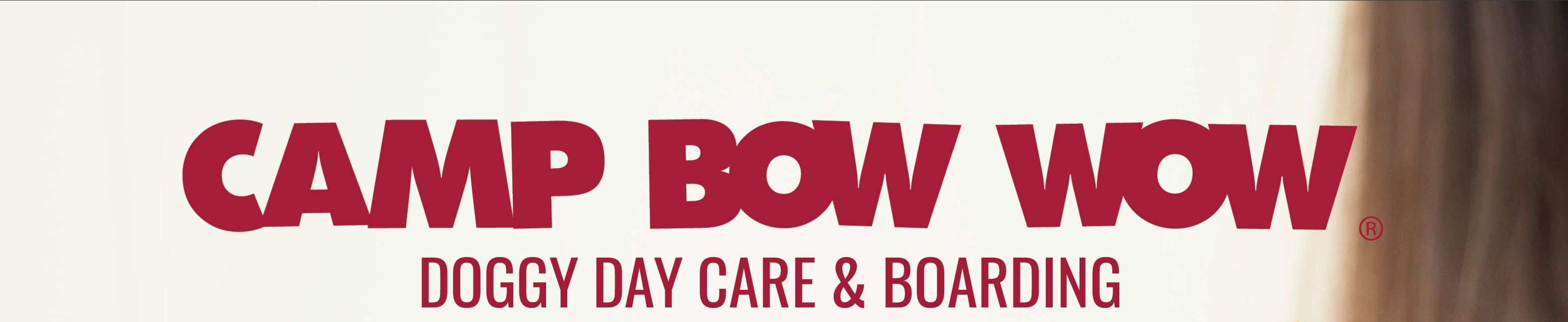 Camp Bow Wow Houston Hobby cover image