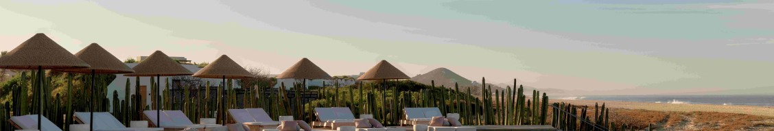 Kimpton Hotels & Restaurants cover image