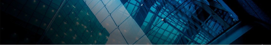 Skadden, Arps, Slate, Meagher & Flom LLP and Affiliates cover image