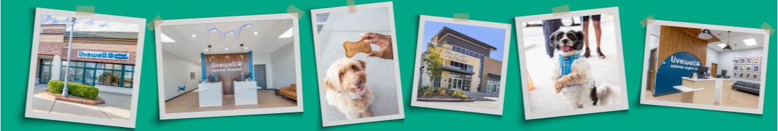 Livewell Animal Hospital cover image