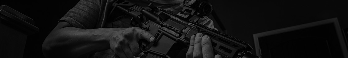 Daniel Defense, LLC cover image