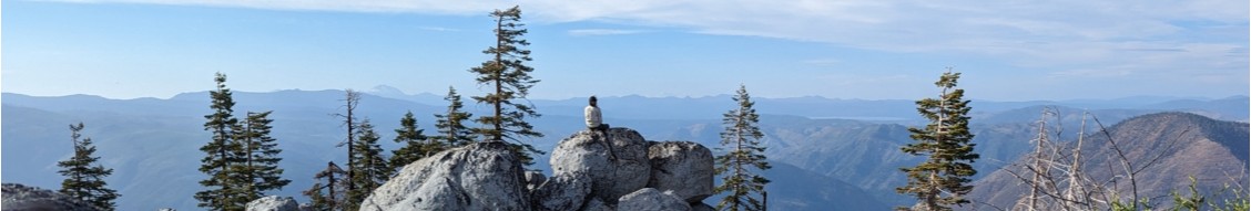 American Conservation Experience cover image