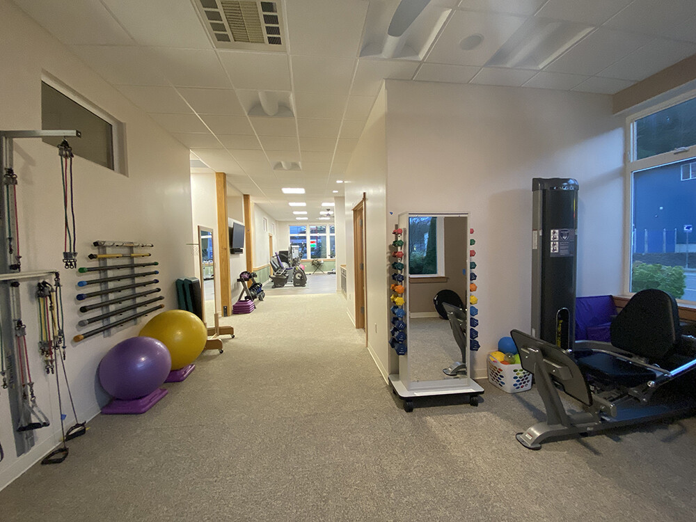 Optimum Health and Wellness Physical Therapy, Inc. cover image