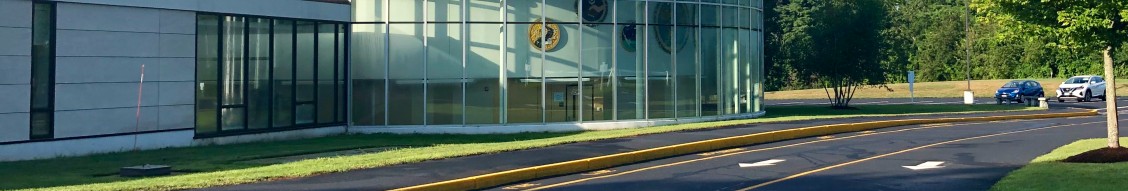 The Pike School cover image