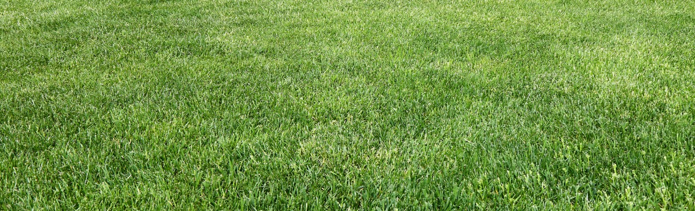 Lawn Doctor cover image