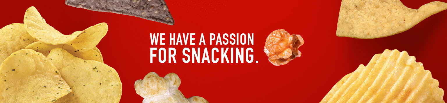 Snak King - Your Snack Innovation Partner - Private Label and Branded Snacks cover image